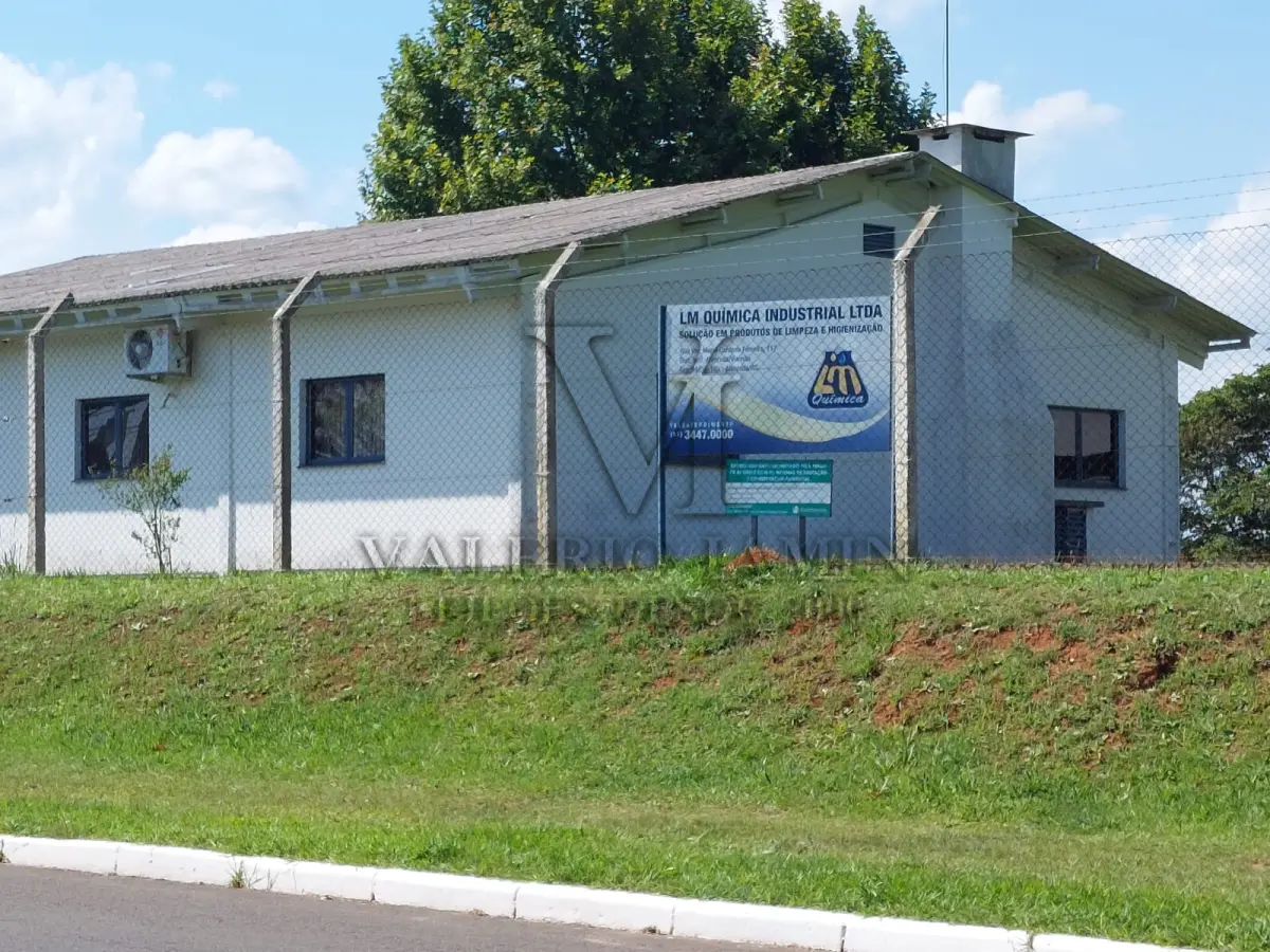 LOTE 260 - Um terreno com área de seis mil e quinhentos e sessenta e três metros quadrados (6.563,00m ²).