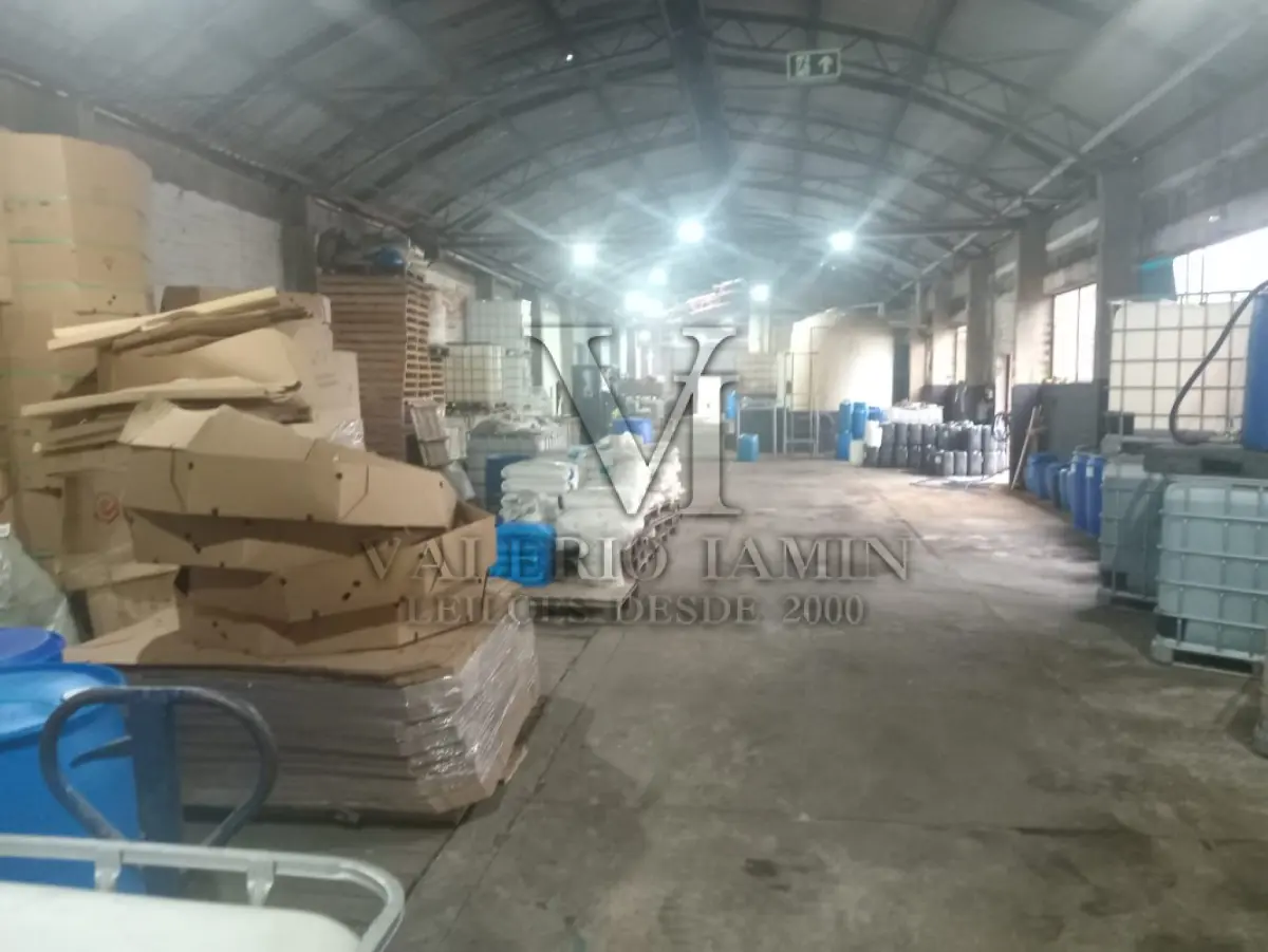 LOTE 590 - Máquina Limpadora Automática URHAN, Modelo 5V 280