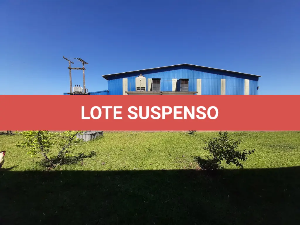 LOTE 238