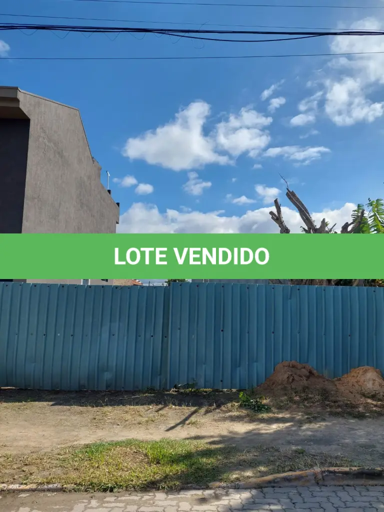 LOTE 278