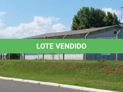 LOTE 260 - Um terreno com área de seis mil e quinhentos e sessenta e três metros quadrados (6.563,00m ²).