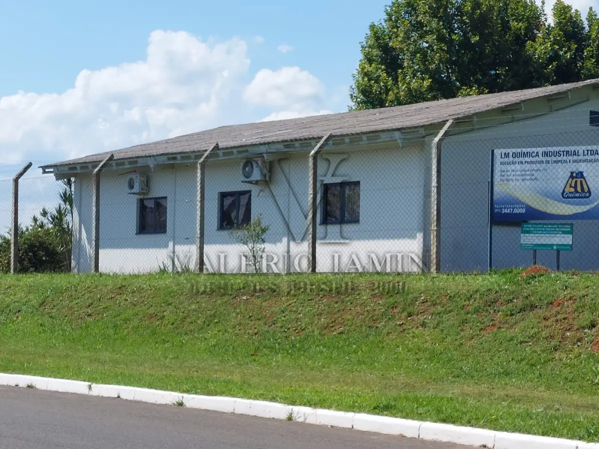 LOTE 260 - Um terreno com área de seis mil e quinhentos e sessenta e três metros quadrados (6.563,00m ²).