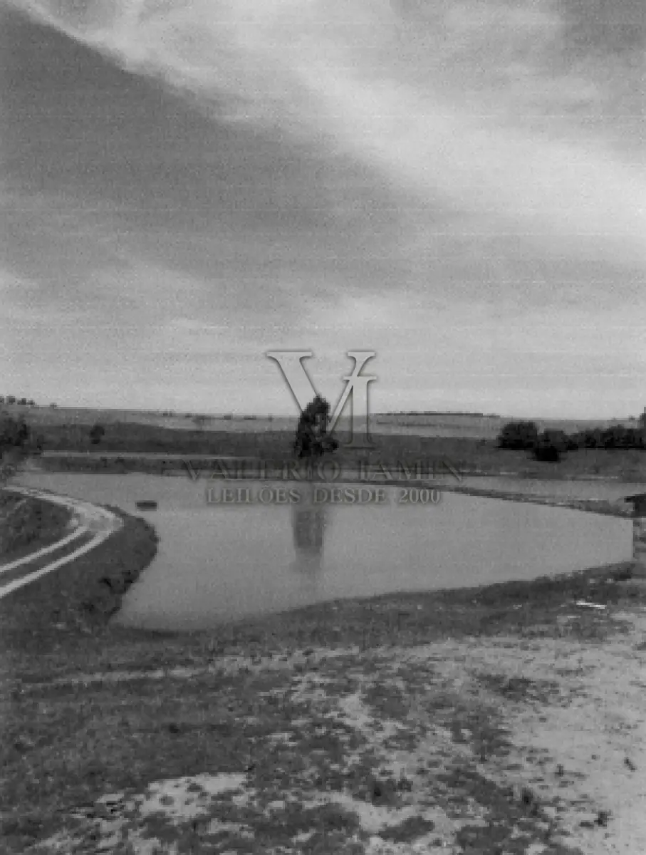 LOTE 431 - AREA DE TERRA COM 24,00 Hec, AREA DE TERRAS COM 4,48 Hec, UM GALPÃO DE ALVENÁRIA 28X20m,UMA CASA EM ALVENÁRIA 14,00X10,30m