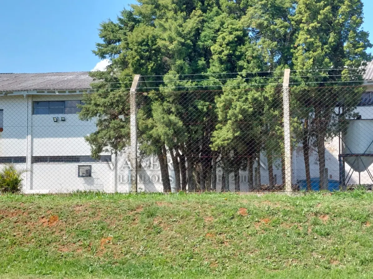 LOTE 260 - Um terreno com área de seis mil e quinhentos e sessenta e três metros quadrados (6.563,00m ²).