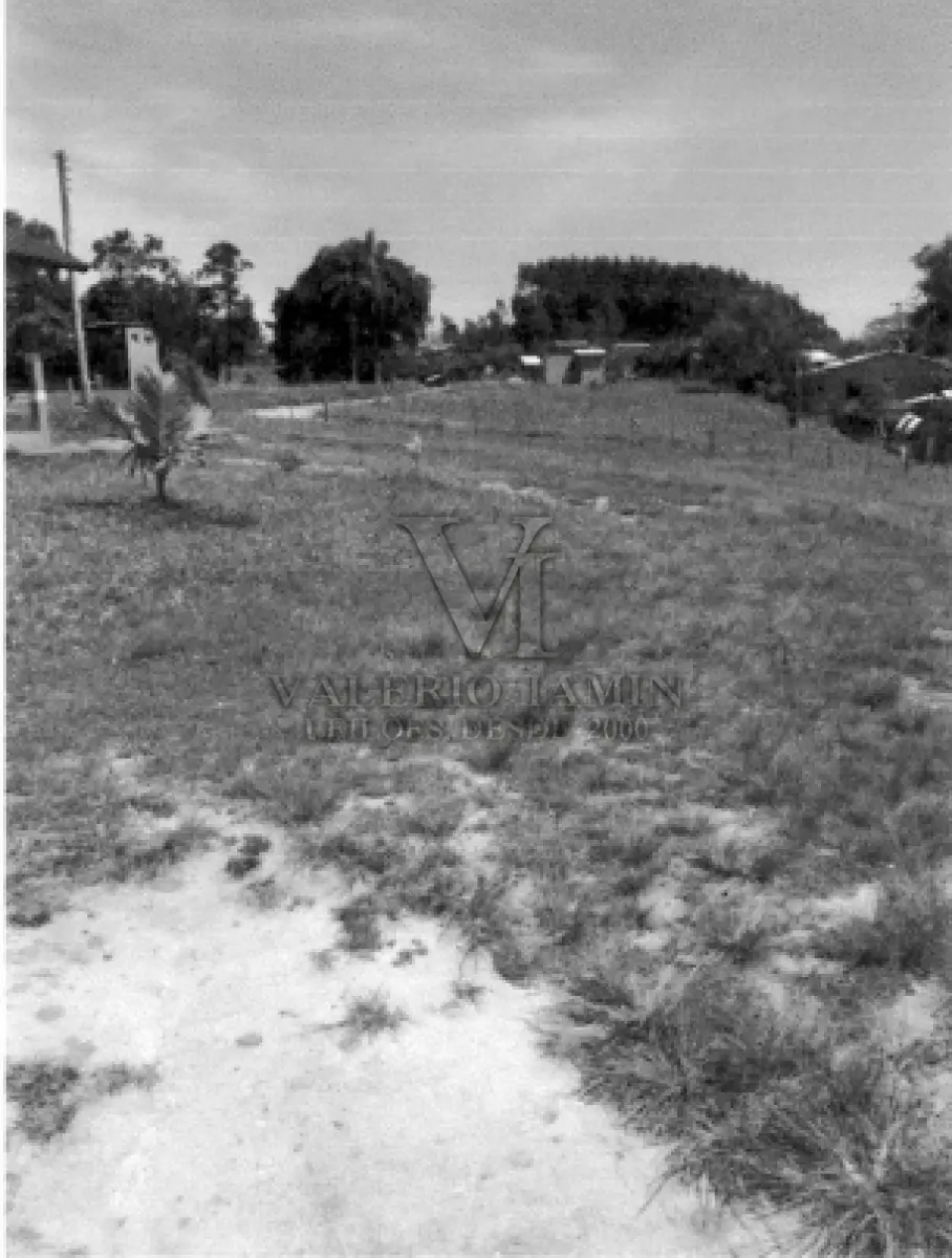 LOTE 431 - AREA DE TERRA COM 24,00 Hec, AREA DE TERRAS COM 4,48 Hec, UM GALPÃO DE ALVENÁRIA 28X20m,UMA CASA EM ALVENÁRIA 14,00X10,30m