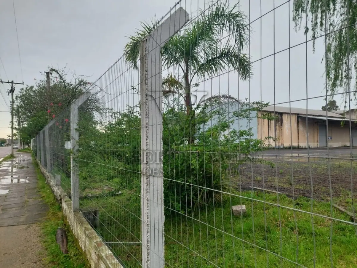 LOTE 619 - IMÓVEL: UM TERRENO EM FORMA RETANGULAR, com um prédio em Alvenaria como parte integrante do engenho e depósitos e demais prédios anexos para escritório, garagem e demais benfeitorias, com área construída de aproximadamente de 1.450,06m²