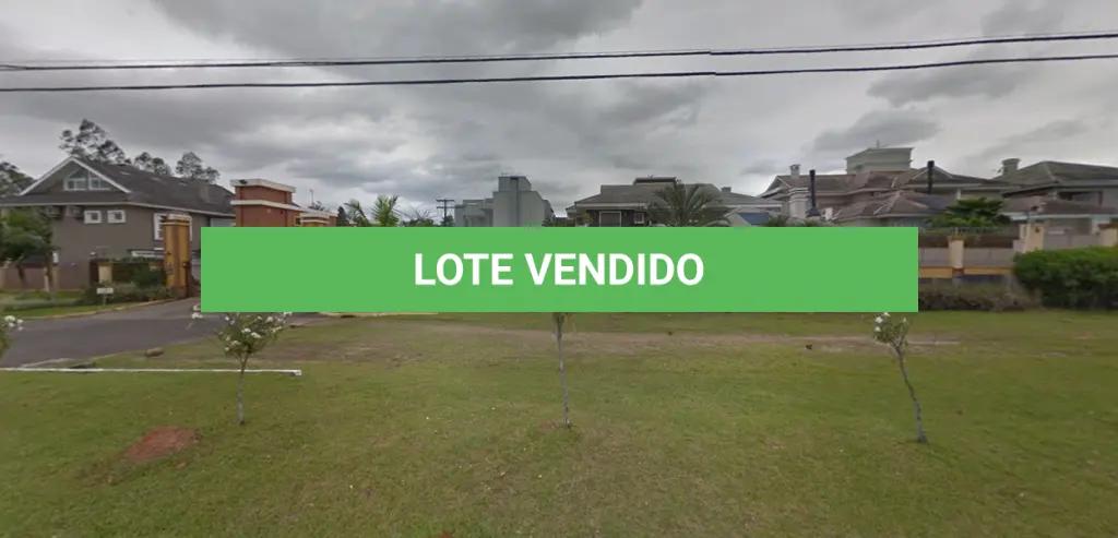 LOTE 239