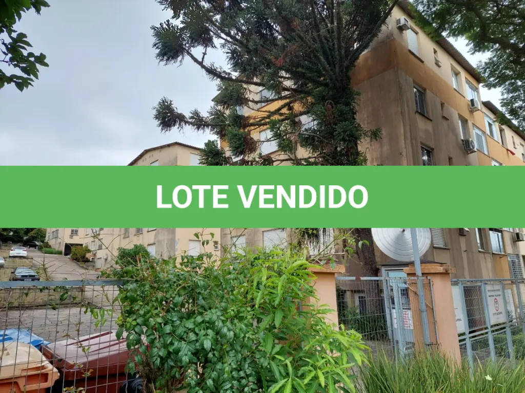 LOTE 166