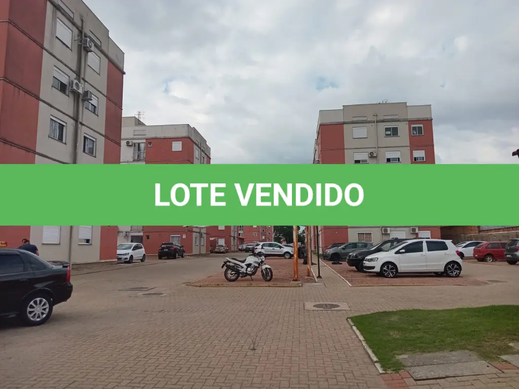 LOTE 491