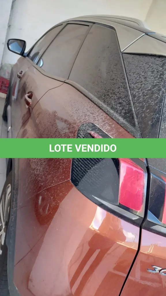 LOTE 309