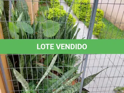 LOTE 166 - APARTAMENTO - CONJUNTO  RESIDÊNCIAL ILHAS DO MEDITERRÂNEO