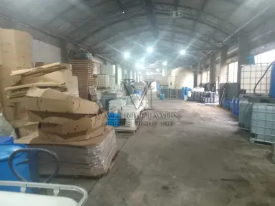 LOTE 590 - Máquina Limpadora Automática URHAN, Modelo 5V 280